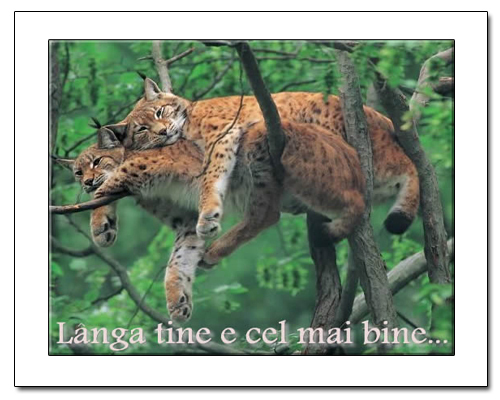 langa-tine-pdb116b3d2z9[1]