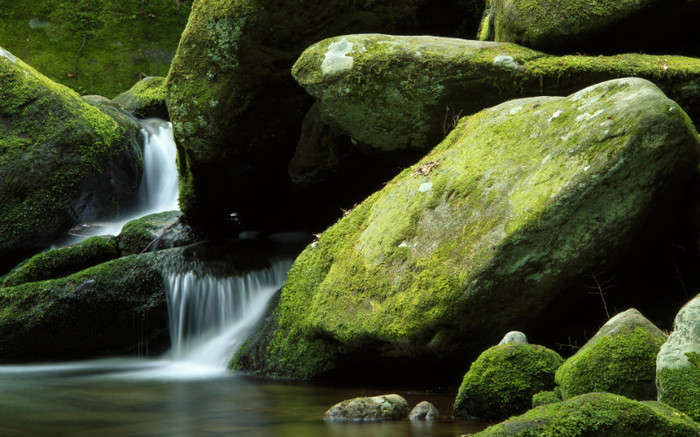 poze natura4 - POZE PEISAJE SUPER