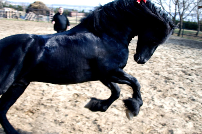 57267_154915767877990_100000787023300_242623_3053933_o