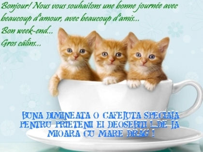 BUNA DIMINEATA !; TRIL
