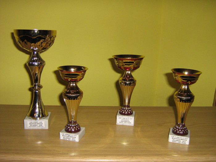 TROFEE 2011 - TROFEE SI DIPLOME 2011