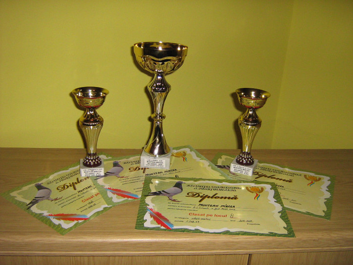 TROFEE SI DIPLOME 2011 - TROFEE SI DIPLOME 2011