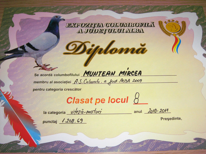 DIPLOMA 2011