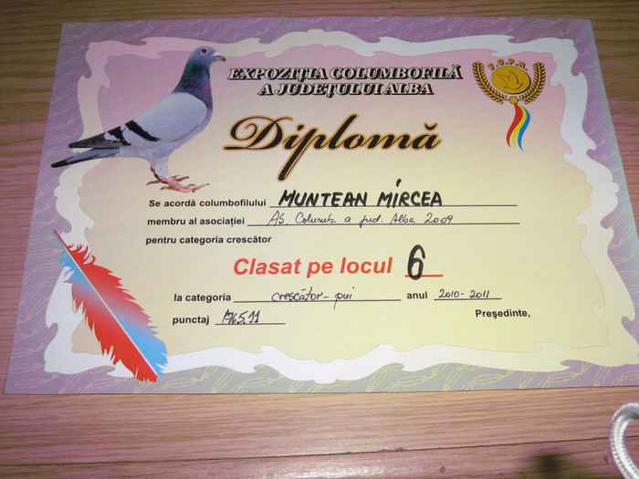 DIPLOMA 2011 - TROFEE SI DIPLOME 2011