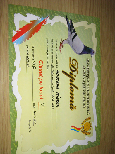 DIPLOMA 2011