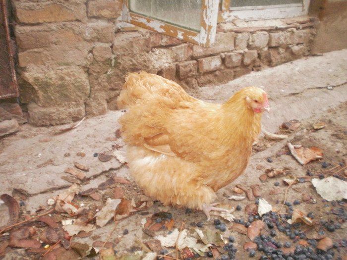 P9100379