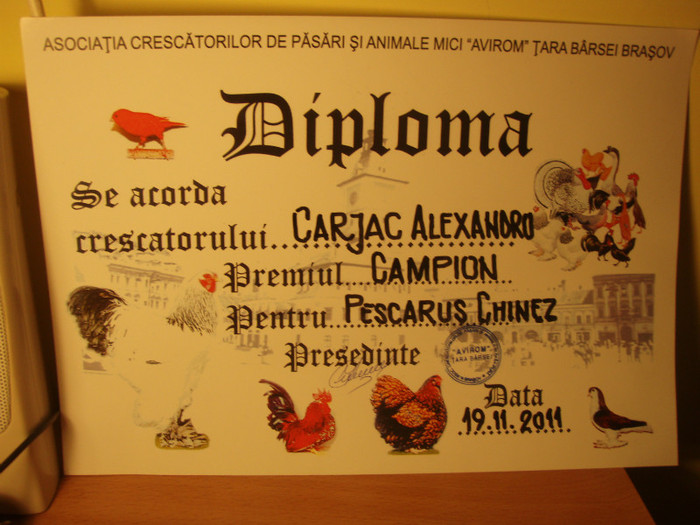 inca o diploma... - Expo Brasov 2011 tineret