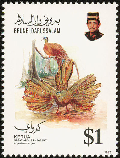 brunei 1 - GREAT ARGUS-Argusianus