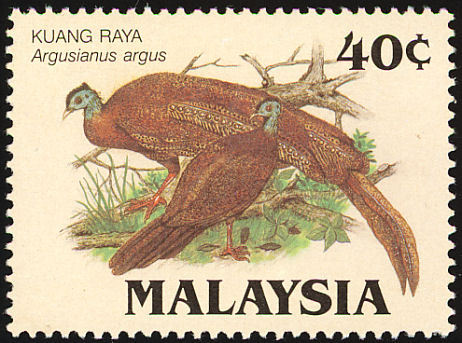malaysia 3
