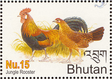 bhutan 2 - red junglefowl-G gallus