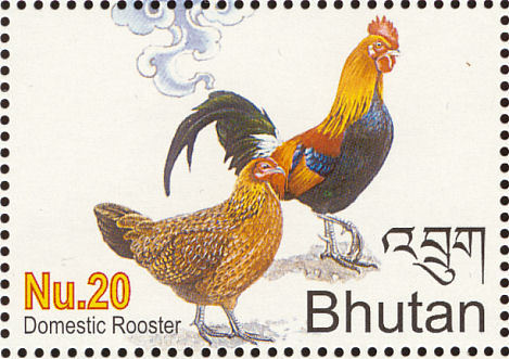 bhutan 3 - red junglefowl-G gallus