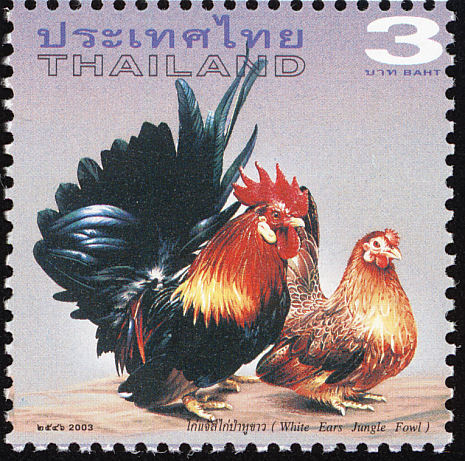  - red junglefowl-G gallus