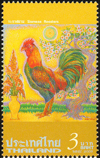  - red junglefowl-G gallus