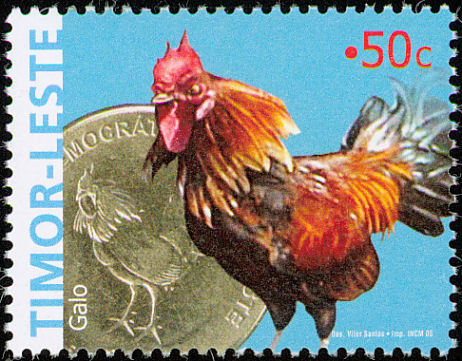  - red junglefowl-G gallus