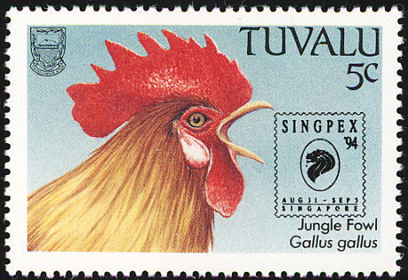  - red junglefowl-G gallus