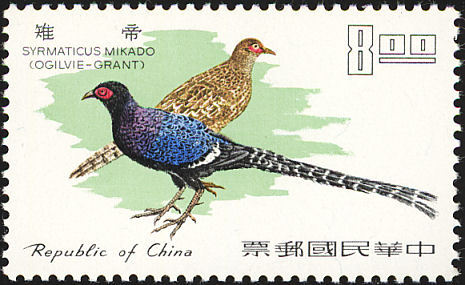 china - mikado-S mikado