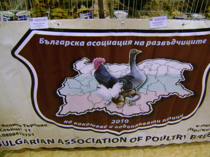 DSC06564 - Expo targ Veliko Tarnovo Bulgaria 19 noiembrie 2011