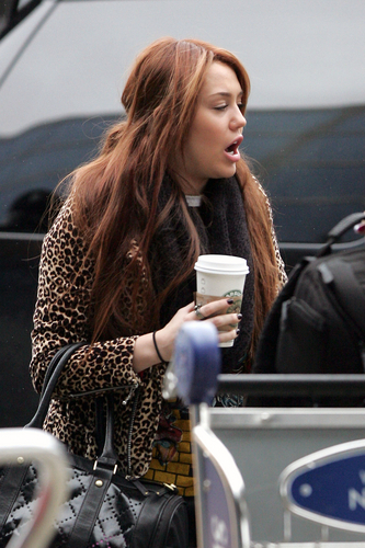 Miley (1) - x - Miley - At JFK Airport in NYC