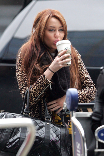 Miley (3) - x - Miley - At JFK Airport in NYC