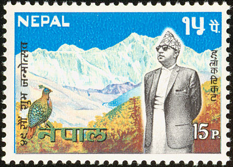 nepal 1 - himalaya-L impeyanus