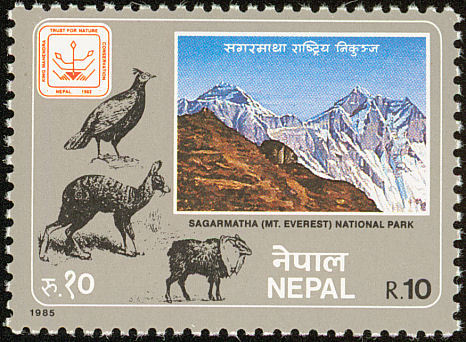 nepal 3 - himalaya-L impeyanus
