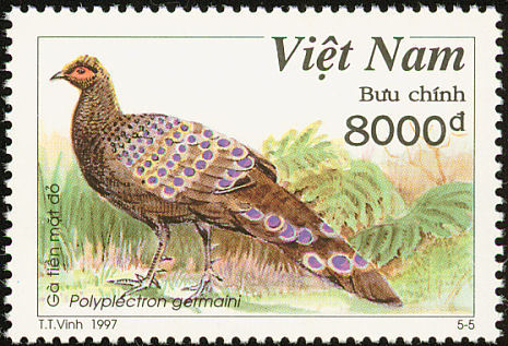 vietnam 1