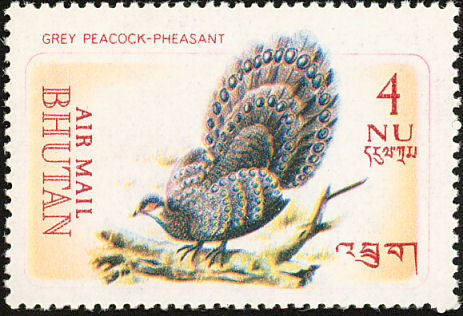 bhutan 1 - grey-P bicalcaratum