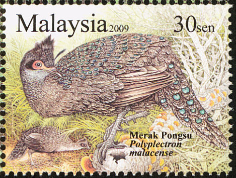 malaysia - malayan-P malacense