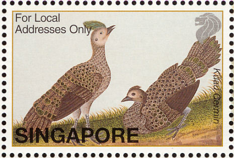 singapore - malayan-P malacense