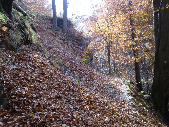 nu se vedea cararea de frunze - la pescuit pe BRAITA