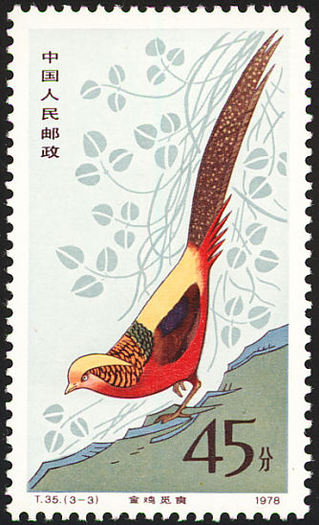 china 45 - golden-C pictus