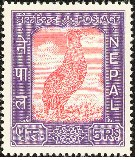 nepal