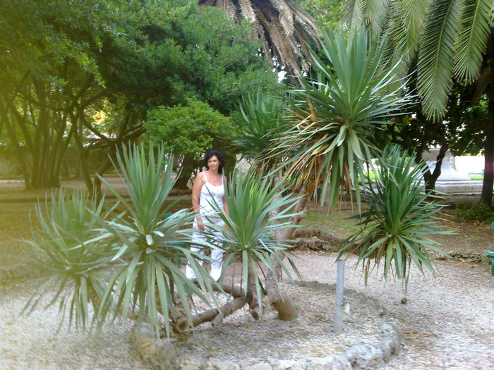 Croatia 2011 - 00000 Andruta