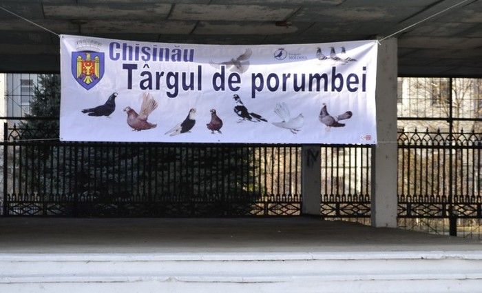 _DSC7235b - Targul Chisinau 2011