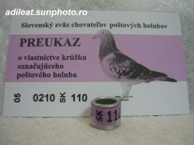SK-2005 - SLOVACIA-SK-ring collection
