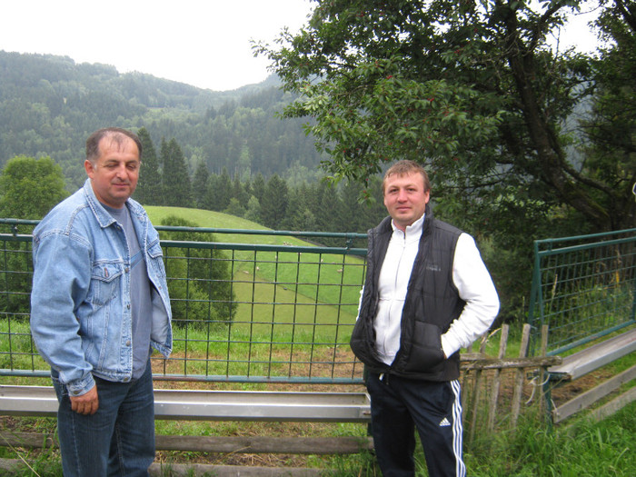 Titi si varul in Austria la cumparat oi - Ferma de oi -Turcane si Dorper Antal