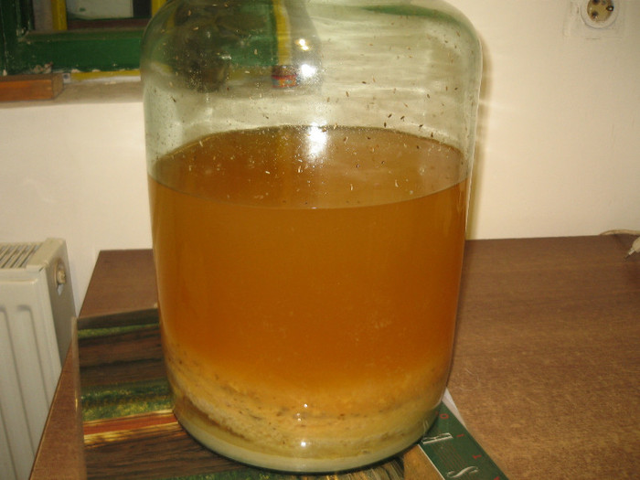 Otetul de mere ,17.nov.2011; Cam asa arata cand se limpezeste.
