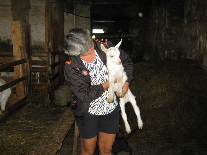 filme pe  www.blue-danube.tv - crescatori de capre -austria ziege farm