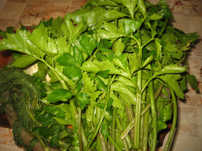 Salata de legume cu sare pentru iarna,nov.2011; Frunze telina si radacina
