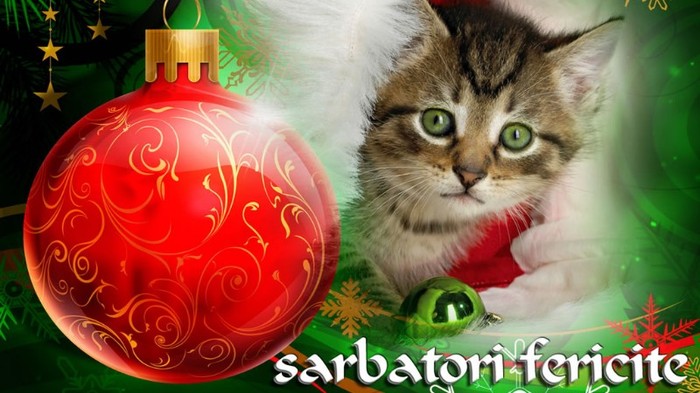 546575-1024x576-82_1024 - christmas time
