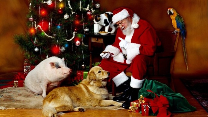 844558-1024x576-christmas