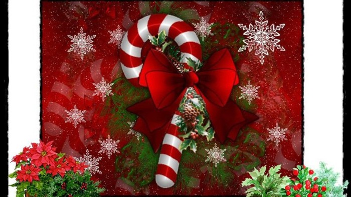 531636-1024x576-candykane-and-christmas-flowers - christmas time