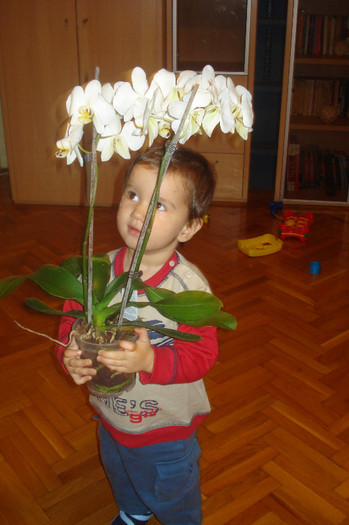 DSC08244 - ANDREI A IMPLINIT 1 AN