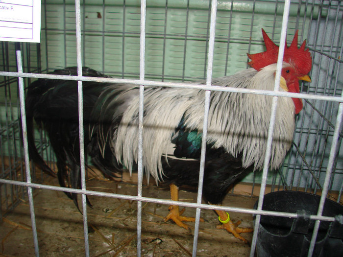 DSC01760