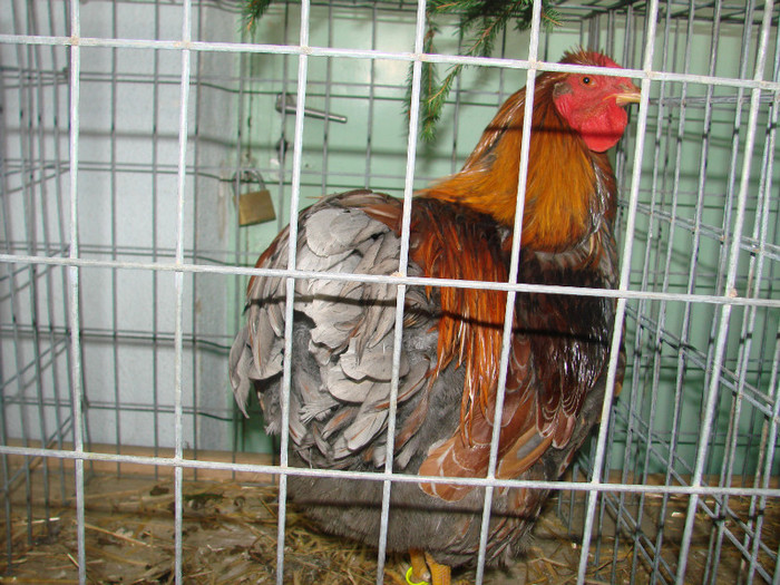 DSC01761