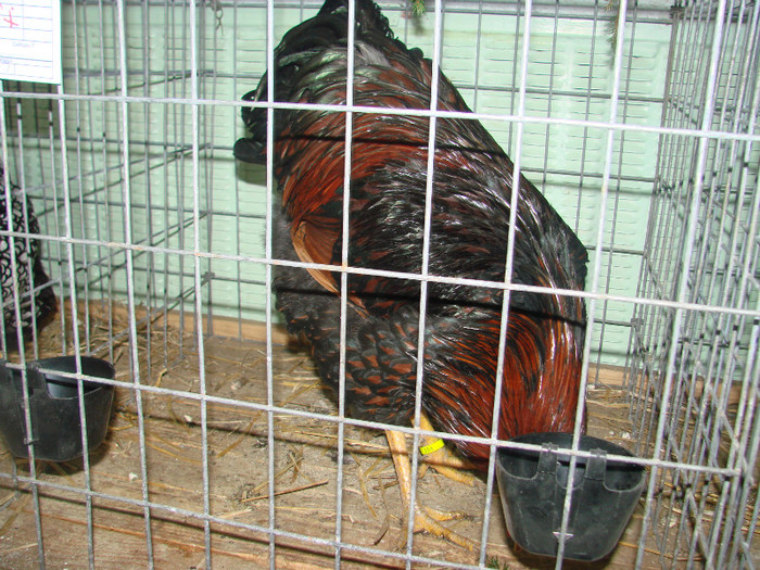 DSC01762