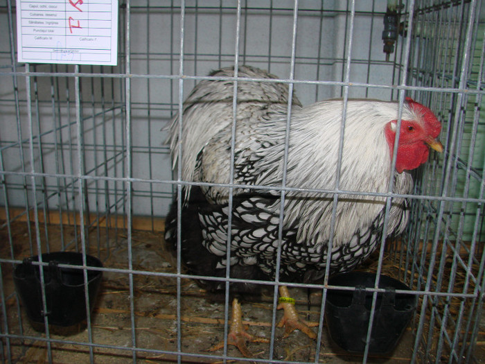 DSC01763