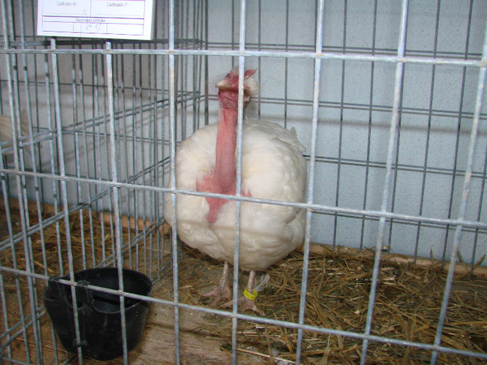 DSC01765