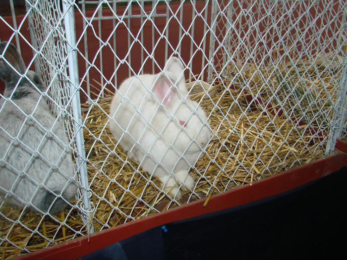 DSC01766