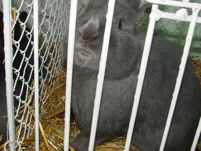 DSC01768